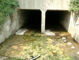 Confined Space Entry